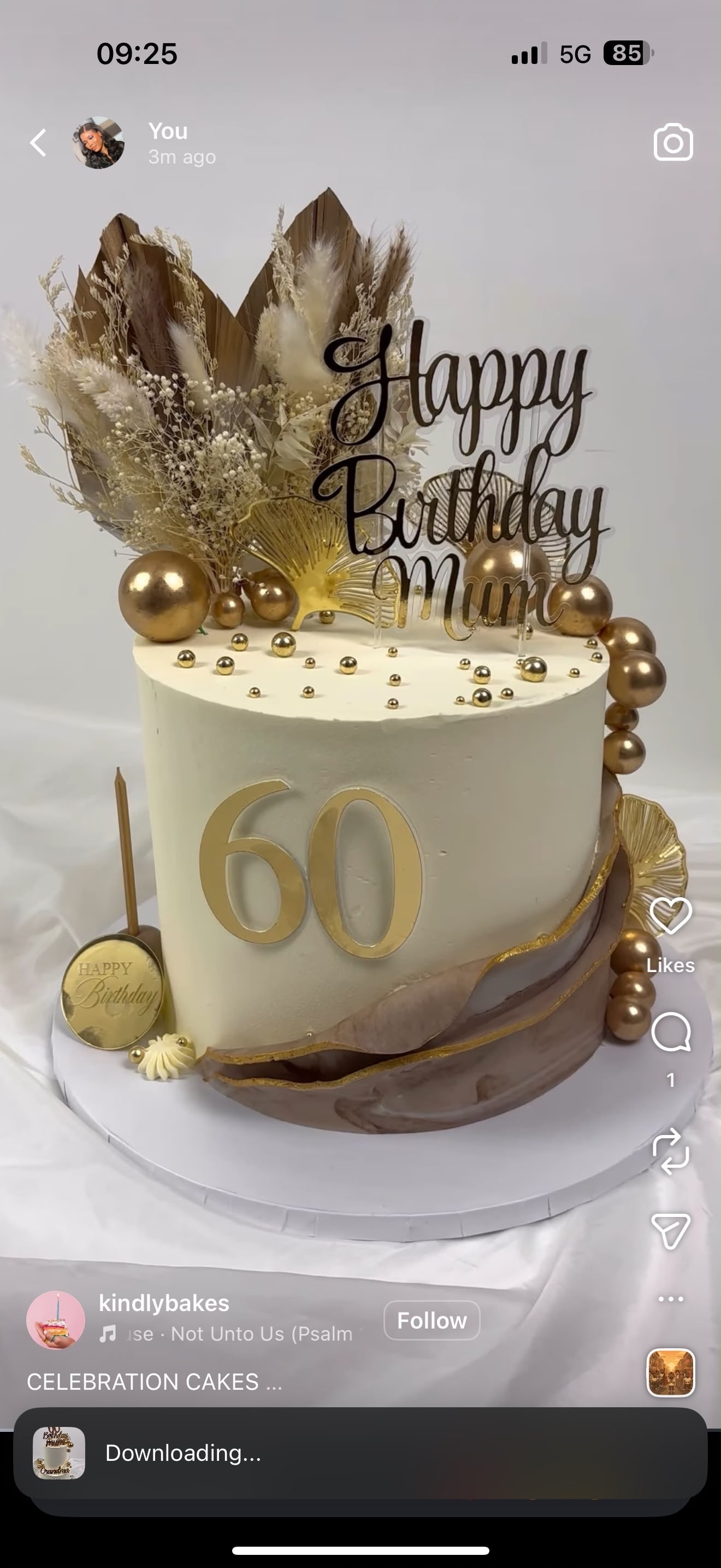 Celebration Cake 1040